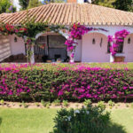 3 bedroom Villas for sale in Marbesa – R5314873