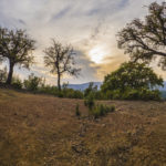 Plots for sale in La Zagaleta – R5329867 Plots for sale in La Zagaleta – R5329867