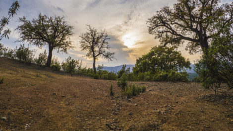 Parcelas en venta en La Zagaleta – R5329867