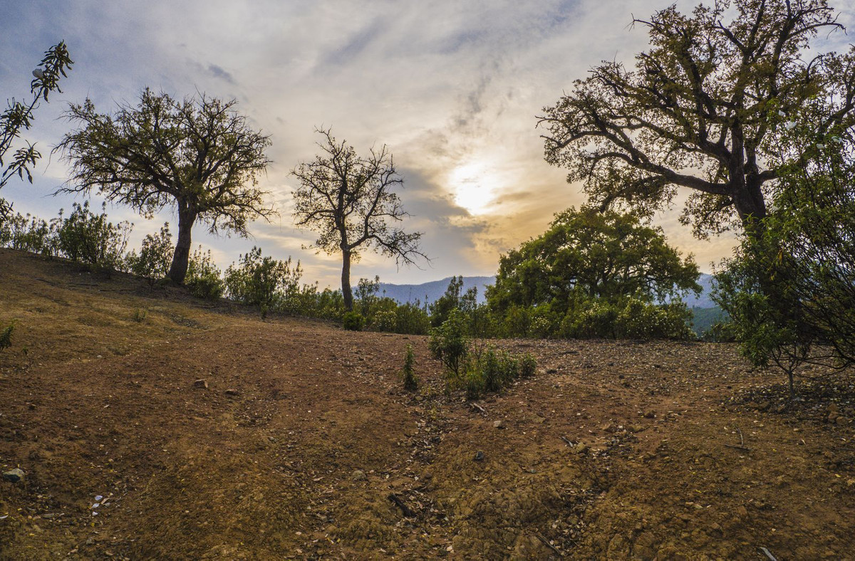 Plots for sale in La Zagaleta – R5329867 Plots for sale in La Zagaleta – R5329867