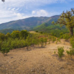 Plots for sale in La Zagaleta – R5329867 Plots for sale in La Zagaleta – R5329867