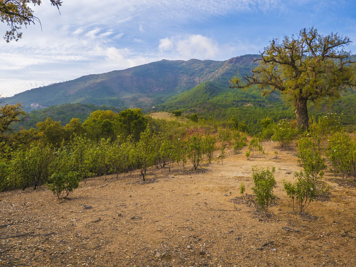 Plots for sale in La Zagaleta – R5329867 Plots for sale in La Zagaleta – R5329867