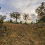 Plots for sale in La Zagaleta – R5329867 Plots for sale in La Zagaleta – R5329867