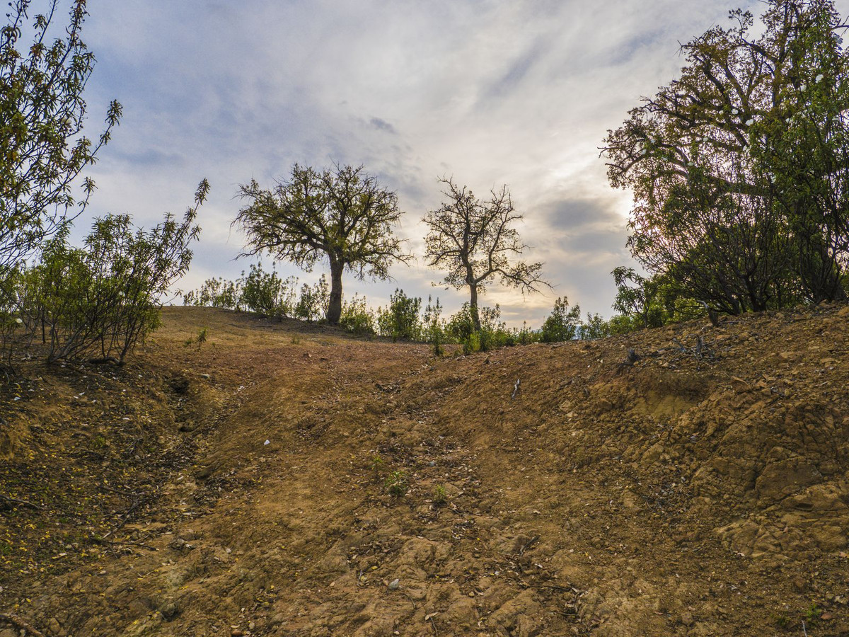 Plots for sale in La Zagaleta – R5329867 Plots for sale in La Zagaleta – R5329867