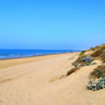 1 bedroom Apartments for sale in Elviria – R5302786