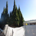 Plots for sale in Sierra Blanca – R2300330