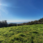 Plots for sale in Marbella – R5306926