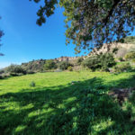 Plots for sale in Marbella – R5306926