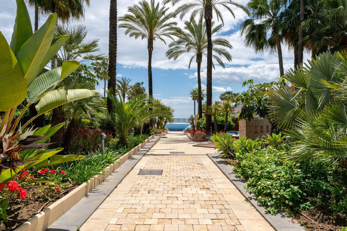 Apartamentos de 3 dormitorios en venta en Nueva Milla de Oro – R5320690