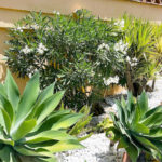 2 bedroom Apartments for sale in Calahonda – R5340742 2 bedroom Apartments for sale in Calahonda – R5340742