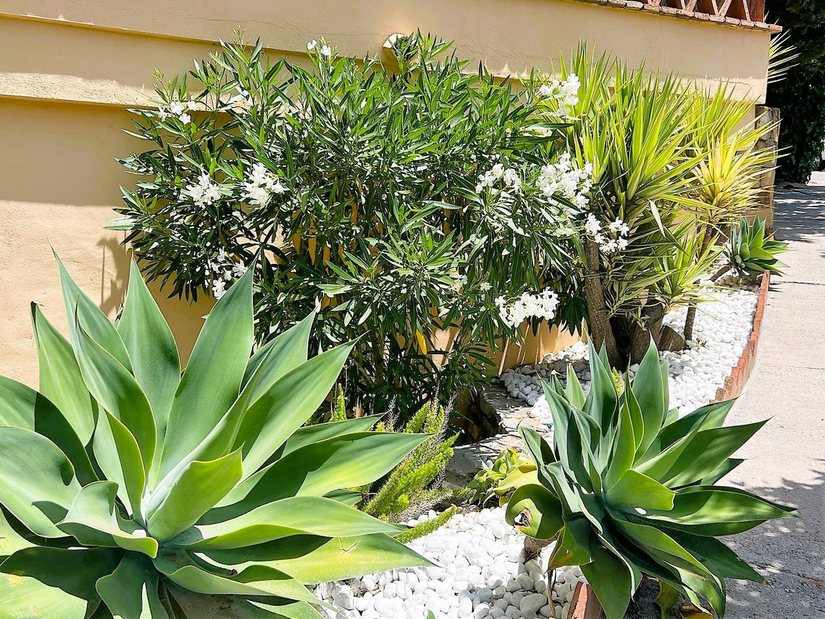 2 bedroom Apartments for sale in Calahonda – R5340742 2 bedroom Apartments for sale in Calahonda – R5340742