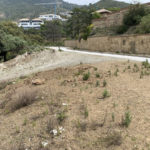 Plots for sale in La Zagaleta – R5357494