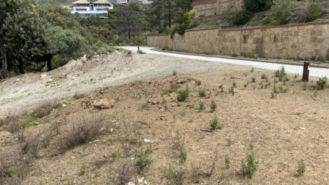 Plots for sale in La Zagaleta – R5357494