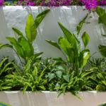 1 bedroom Townhouses for sale in Nueva Milla de Oro – R5123158