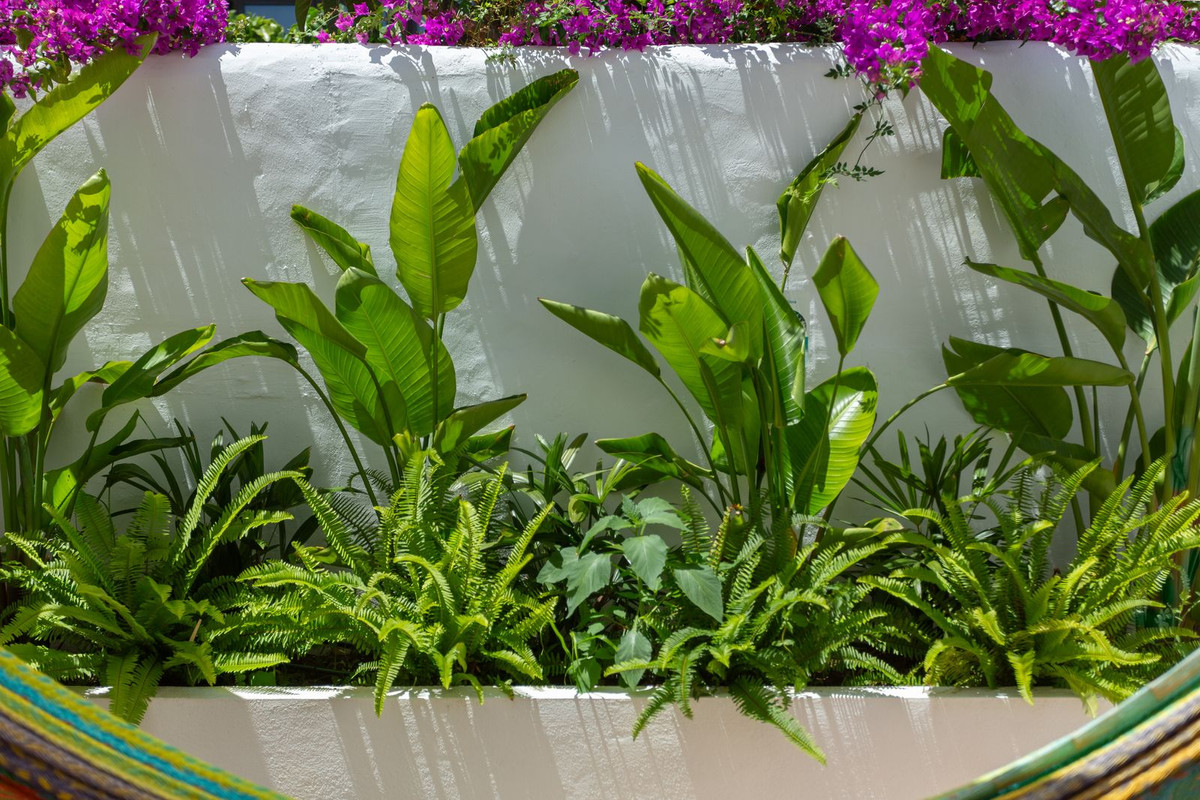 1 bedroom Townhouses for sale in Nueva Milla de Oro – R5123158