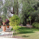 5 bedroom Villas for sale in Milla de Oro – R4742287