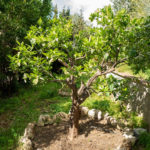 4 bedroom Villas for sale in Elviria – R5346391 4 bedroom Villas for sale in Elviria – R5346391