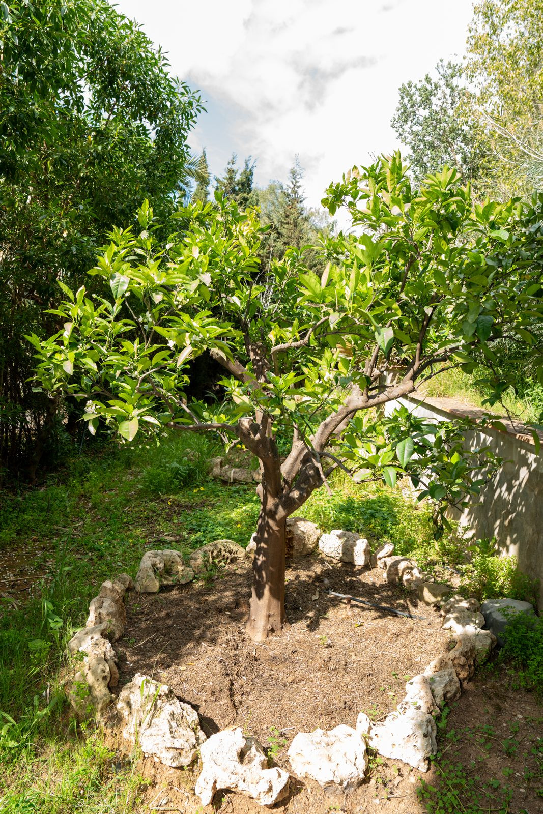 4 bedroom Villas for sale in Elviria – R5346391 4 bedroom Villas for sale in Elviria – R5346391