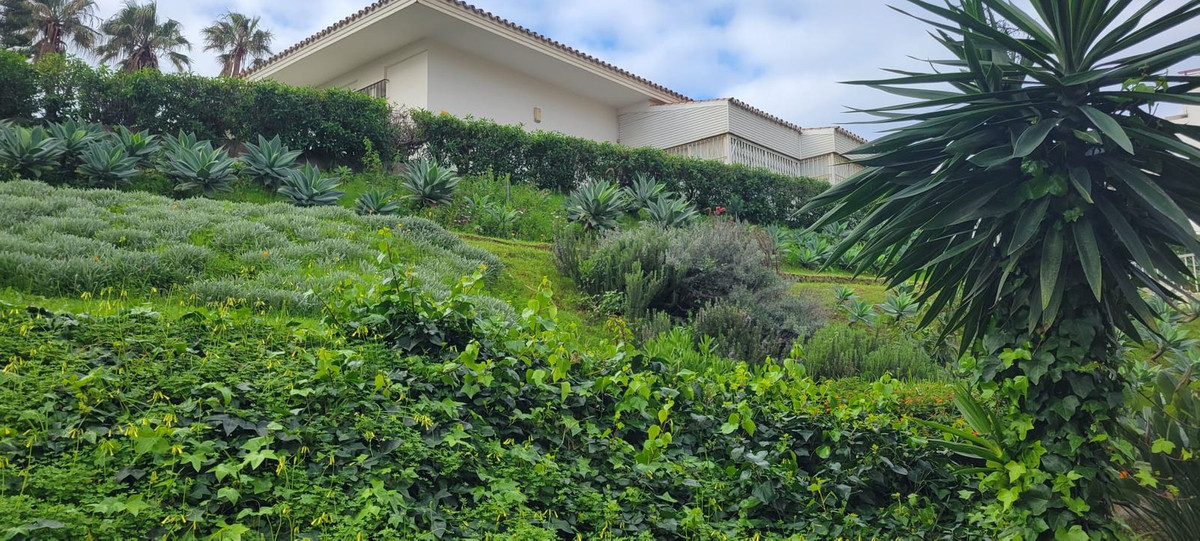 2 bedroom Apartments for sale in Calahonda – R5329798