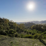 Parcelas en venta en Benahavís – R3473524 Parcelas en venta en Benahavís – R3473524
