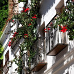 Adosados de 6 dormitorios en venta en Marbella – R171886