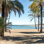 3 bedroom Apartments for sale in Puerto Banús – R5354266 3 bedroom Apartments for sale in Puerto Banús – R5354266