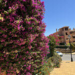 3 bedroom Apartments for sale in Ojén – R5078752 3 bedroom Apartments for sale in Ojén – R5078752