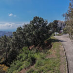 Plots for sale in Benahav�s – R5205529 Plots for sale in Benahav�s – R5205529
