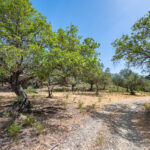 Plots for sale in La Zagaleta – R4835560 Plots for sale in La Zagaleta – R4835560