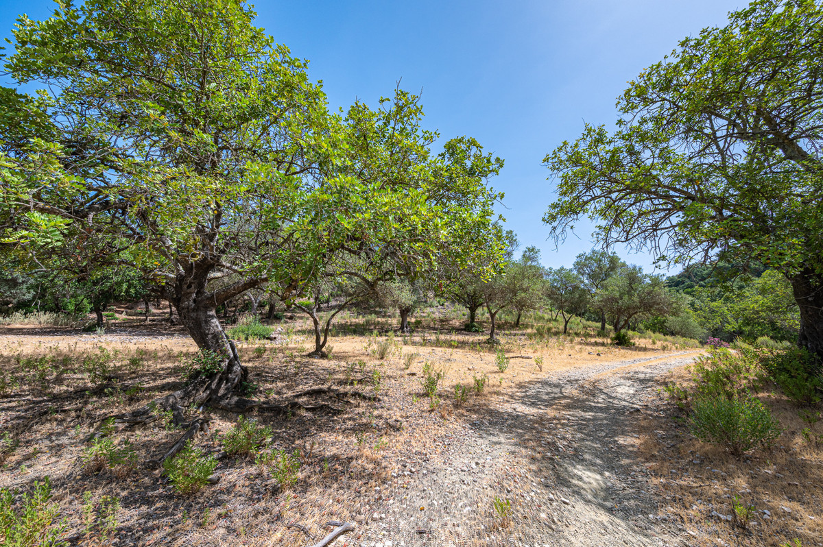 Plots for sale in La Zagaleta – R4835560 Plots for sale in La Zagaleta – R4835560