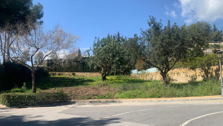 Parcelas en venta en Milla de Oro – R5357848 Parcelas en venta en Milla de Oro – R5357848 en
