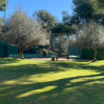 Parcelas en venta en Milla de Oro – R5357848 Parcelas en venta en Milla de Oro – R5357848