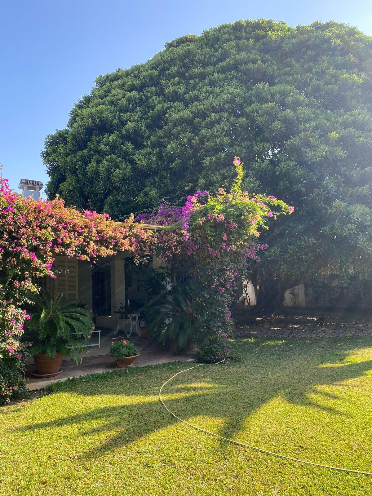 4 bedroom Villas for sale in Guadalmina Baja – R4909318 4 bedroom Villas for sale in Guadalmina Baja – R4909318