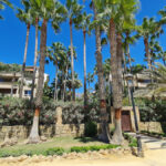 Apartamentos de 2 dormitorios en venta en Milla de Oro – R5389393 Apartamentos de 2 dormitorios en venta en Milla de Oro – R5389393