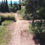 Plots for sale in Milla de Oro – R4668736 Plots for sale in Milla de Oro – R4668736