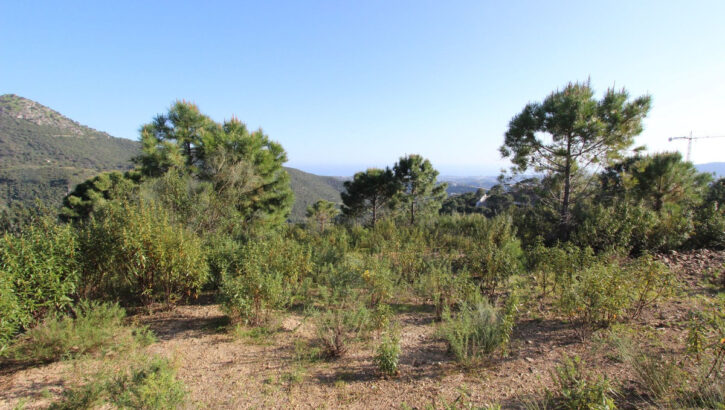 Plots for sale in Benahav�s – R5332990 Plots for sale in Benahav�s – R5332990 in