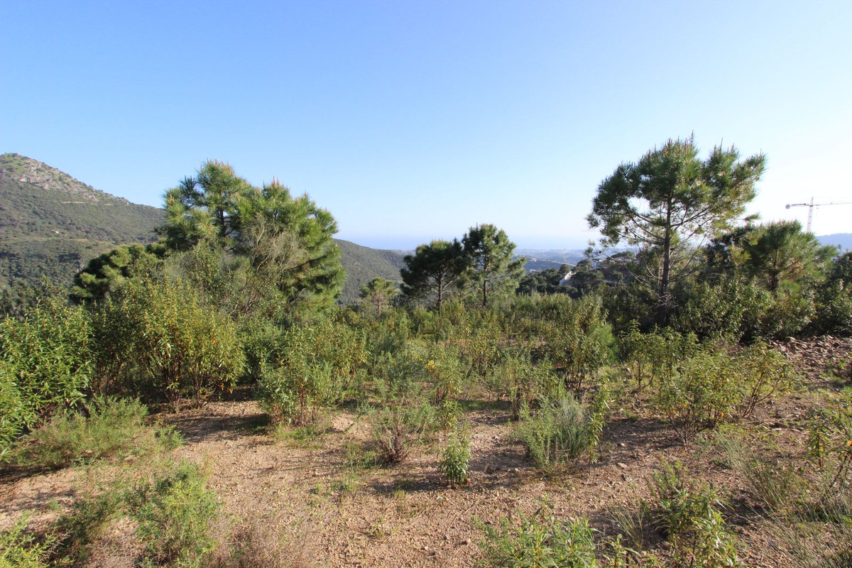 Plots for sale in Benahav�s – R5332990 Plots for sale in Benahav�s – R5332990