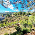 Parcelas en venta en El Madroñal – R5195473 Parcelas en venta en El Madroñal – R5195473