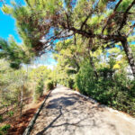 Parcelas en venta en El Madroñal – R5195473 Parcelas en venta en El Madroñal – R5195473