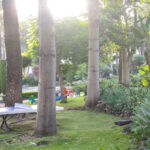 Apartamentos de 3 dormitorios en venta en Puerto Ban�s – R5119768 Apartamentos de 3 dormitorios en venta en Puerto Ban�s – R5119768