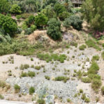 Parcelas en venta en Benahavís – R5379391 Parcelas en venta en Benahavís – R5379391