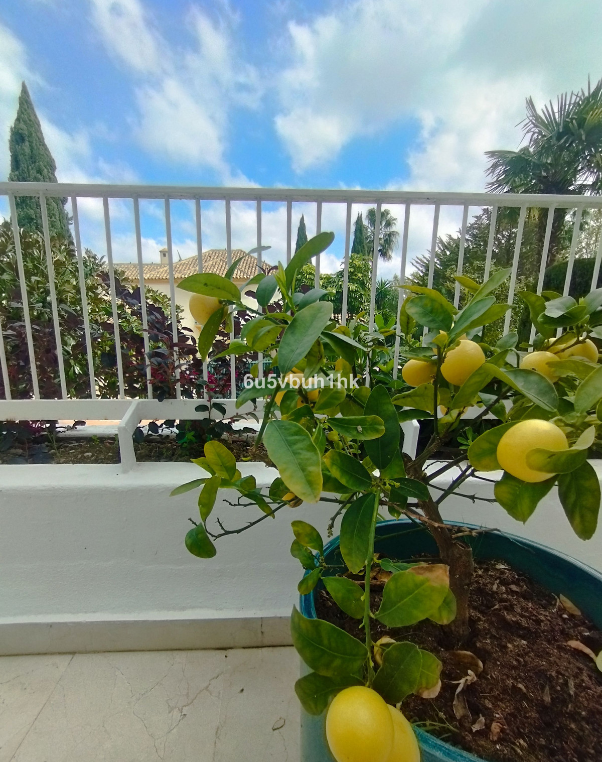 Apartamentos de 3 dormitorios en venta en Marbella – R5324209 Apartamentos de 3 dormitorios en venta en Marbella – R5324209