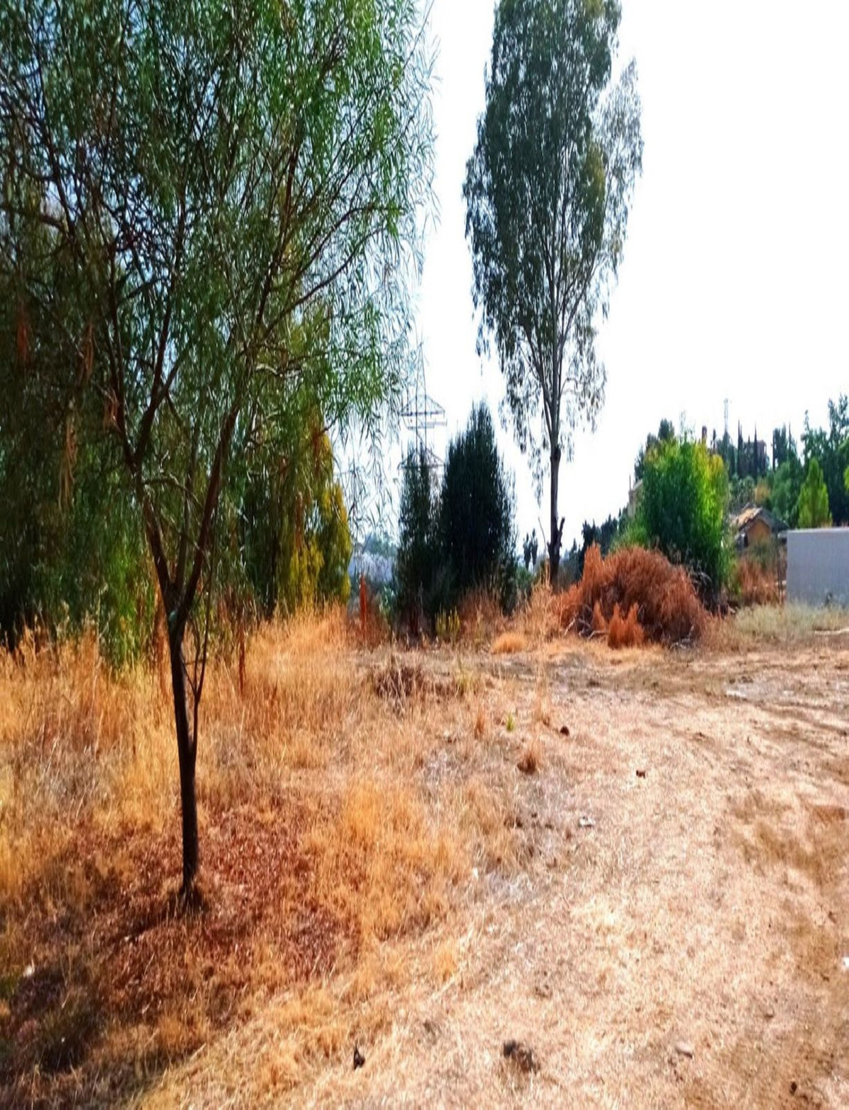 Parcelas en venta en La Quinta – R5371531 Parcelas en venta en La Quinta – R5371531