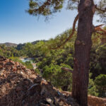 Plots for sale in Benahav�s – R5253751 Plots for sale in Benahav�s – R5253751