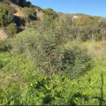 Parcelas en venta en Elviria – R4900441