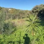 Parcelas en venta en Elviria – R4900441