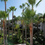3 bedroom Apartments for sale in Puerto Ban�s – R4992316 3 bedroom Apartments for sale in Puerto Ban�s – R4992316