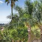 Apartamentos de 4 dormitorios en venta en Nag�eles – R5071018 Apartamentos de 4 dormitorios en venta en Nag�eles – R5071018