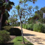 2 bedroom Apartments for sale in Benahavís – R5350210 2 bedroom Apartments for sale in Benahavís – R5350210