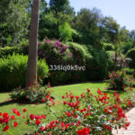 2 bedroom Apartments for sale in Los Arqueros – R5389096 2 bedroom Apartments for sale in Los Arqueros – R5389096